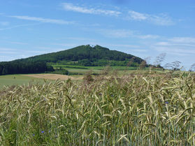 Impressionen aus Naumburg (Foto: Karl-Franz Thiede)